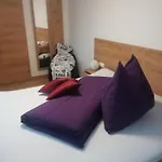 Hochkoenigblick Pilzegg Διαμέρισμα *