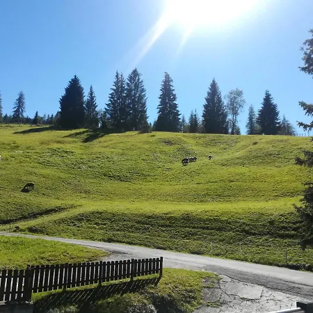 Hochkoenigblick Pilzegg *