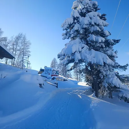 Hochkoenigblick Pilzegg *