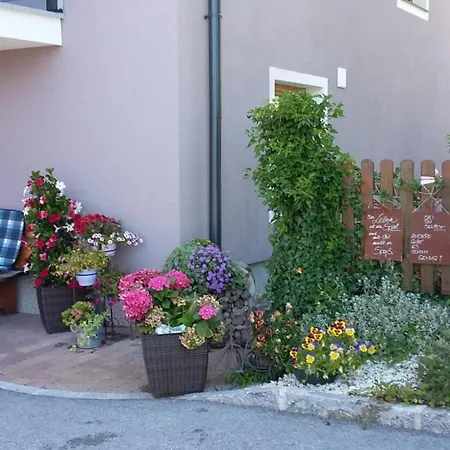 Hochkoenigblick Pilzegg *