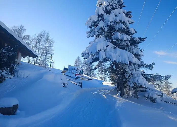 Hochkönigblick Pilzegg *