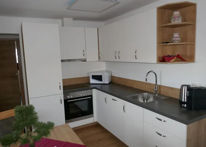 Apartman Hochkönigblick Pilzegg